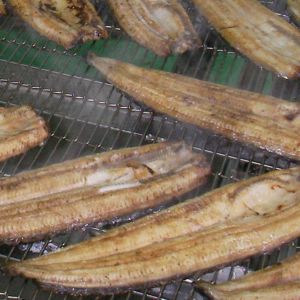 国産うなぎ白焼き